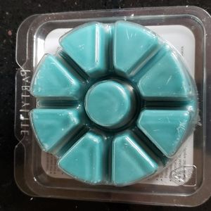 HOST PICK. Retired PartyLite Scent Plus Melts-Sea Breeze & Olive